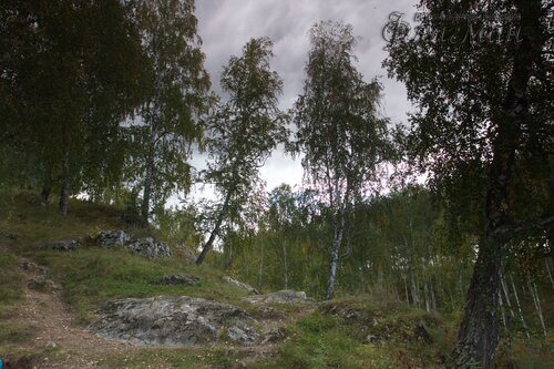 IMG_2666_r